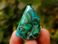 Polished Malacolla Free Forms x 35 From Kulukuluku, Congo