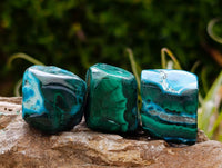 Polished Malacolla Free Forms x 35 From Kulukuluku, Congo