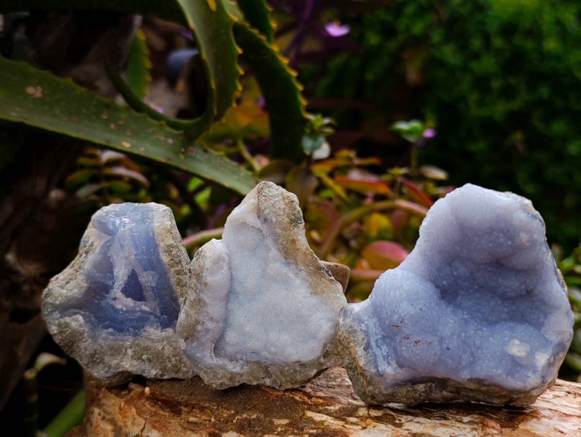 Natural Blue Lace Agate Specimens x 12 From Nsanje, Malawi - Toprock Gemstones and Minerals 