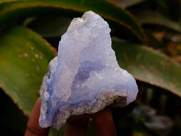 Natural Blue Lace Agate Specimens x 12 From Nsanje, Malawi