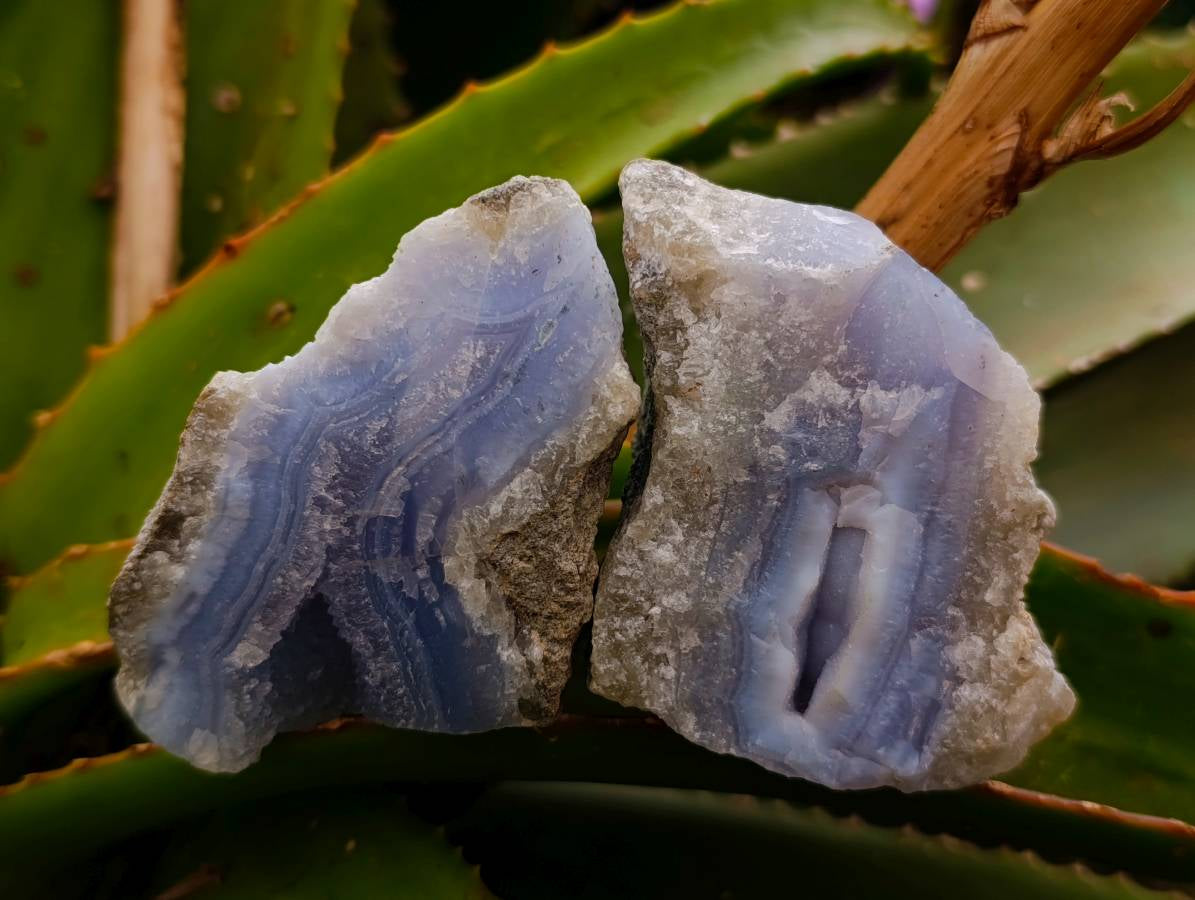 Natural Blue Lace Agate Specimens x 12 From Nsanje, Malawi - Toprock Gemstones and Minerals 