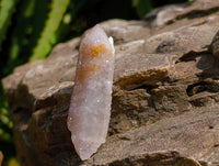 Natural Fairy Spirit Quartz Clusters x 35 From Boekenhouthoek, South Africa