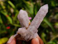 Natural Fairy Spirit Quartz Clusters x 35 From Boekenhouthoek, South Africa
