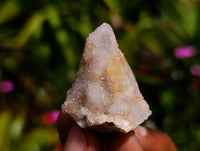 Natural Fairy Spirit Quartz Clusters x 35 From Boekenhouthoek, South Africa
