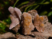 Natural Fairy Spirit Quartz Clusters x 35 From Boekenhouthoek, South Africa