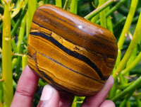 Polished Golden Tiger's Eye Free Forms x 6 From Prieska, South Africa