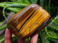 Polished Golden Tiger's Eye Free Forms x 6 From Prieska, South Africa