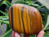 Polished Golden Tiger's Eye Free Forms x 6 From Prieska, South Africa
