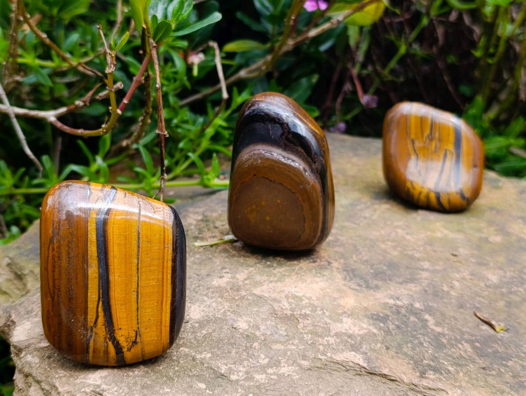Polished Golden Tiger's Eye Free Forms x 6 From Prieska, South Africa - Toprock Gemstones and Minerals 