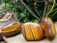Polished Golden Tiger's Eye Free Forms x 6 From Prieska, South Africa