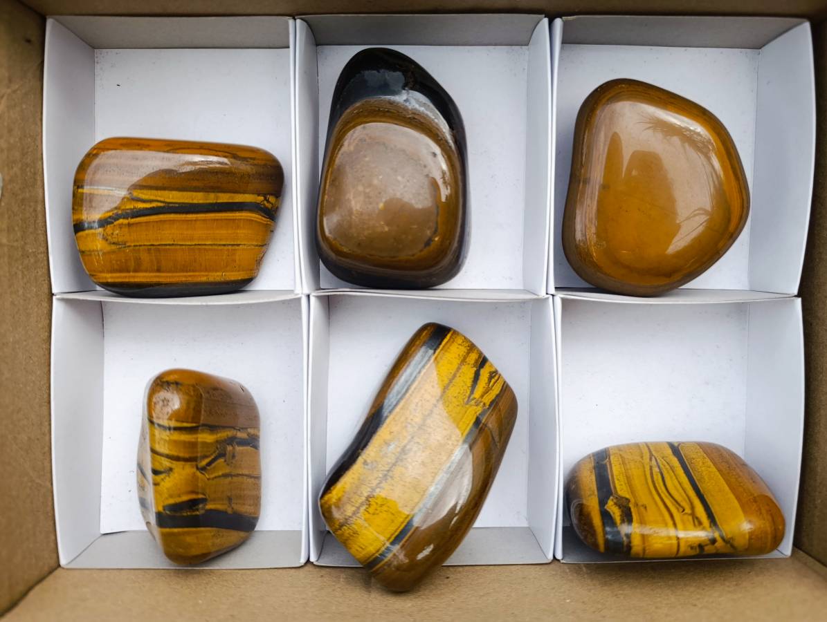 Polished Golden Tiger's Eye Free Forms x 6 From Prieska, South Africa - Toprock Gemstones and Minerals 