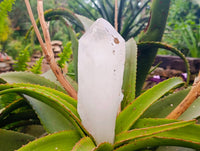 Natural Icy Etched Quartz Crystals x 3 From Madagascar