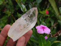 Natural Mpika Quarts Crystals x 35 From Mpika, Zambia