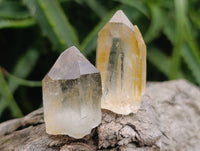 Natural Mpika Quarts Crystals x 35 From Mpika, Zambia