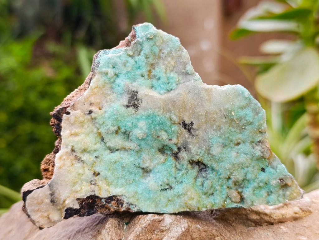 Natural Botryoidal Drusy Coated Chrysocolla Specimens x 2 From Lupoto Mine, Congo - Toprock Gemstones and Minerals 