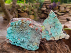 Natural Botryoidal Drusy Coated Chrysocolla Specimens x 2 From Lupoto Mine, Congo - Toprock Gemstones and Minerals 