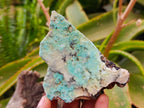 Natural Botryoidal Drusy Coated Chrysocolla Specimens x 2 From Lupoto Mine, Congo - Toprock Gemstones and Minerals 