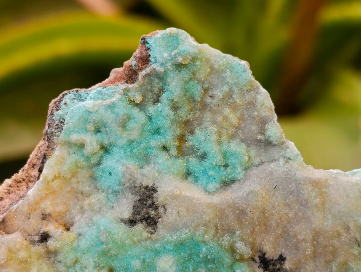 Natural Botryoidal Drusy Coated Chrysocolla Specimens x 2 From Lupoto Mine, Congo - Toprock Gemstones and Minerals 