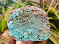 Natural Botryoidal Drusy Coated Chrysocolla Specimens x 2 From Lupoto Mine, Congo