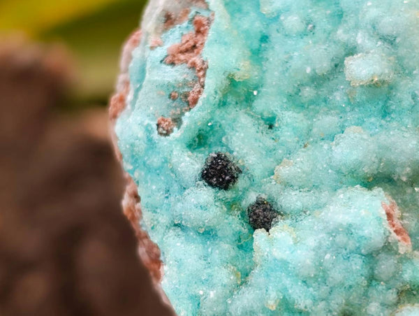 Natural Botryoidal Drusy Coated Chrysocolla Specimens x 2 From Lupoto Mine, Congo