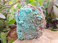 Natural Botryoidal Drusy Coated Chrysocolla Specimens x 2 From Lupoto Mine, Congo