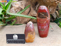 Polished Red Podocarpus Petrified Wood Standing Free Forms x 2 From Mahajanga, Madagascar
