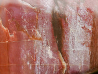 Polished Red Podocarpus Petrified Wood Standing Free Forms x 2 From Mahajanga, Madagascar