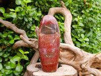 Polished Red Podocarpus Petrified Wood Standing Free Forms x 2 From Mahajanga, Madagascar