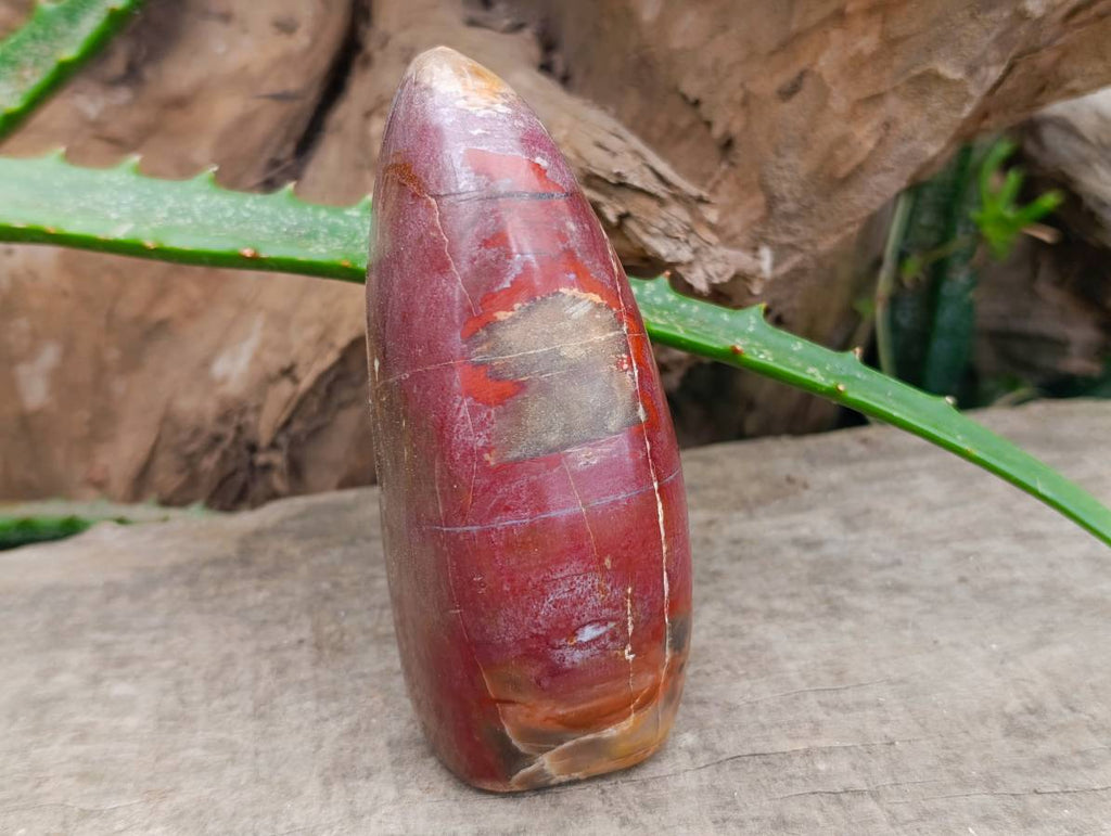 Polished Red Podocarpus Petrified Wood Standing Free Forms x 2 From Mahajanga, Madagascar - Toprock Gemstones and Minerals 