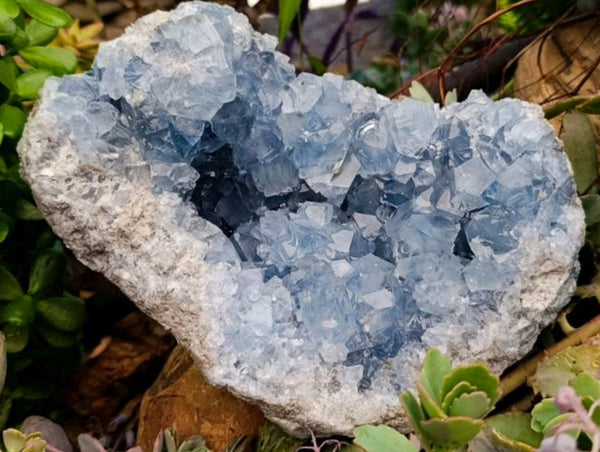 Natural Blue Celestite Geode Specimen x 1 From Sakoany, Madagascar