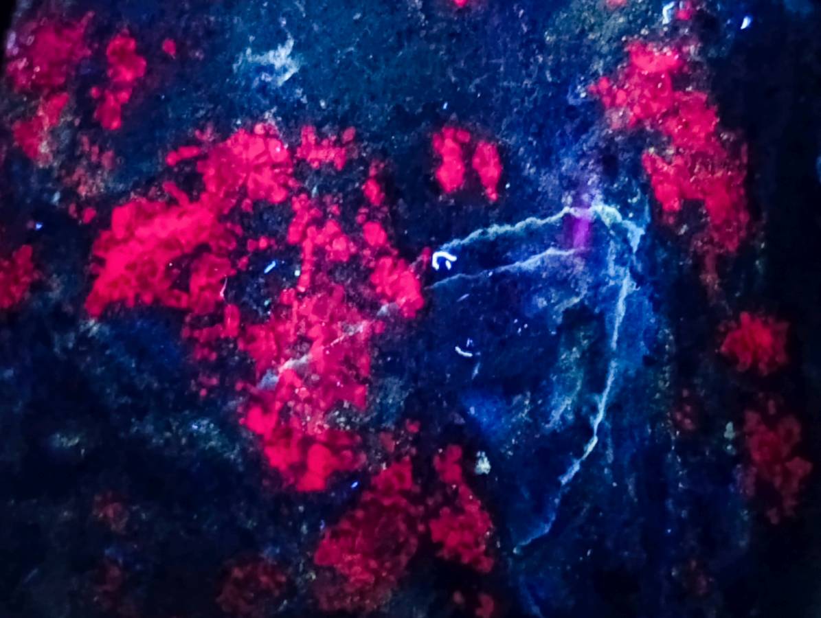 Polished Verdite Standing Free Forms x 2 From Zimbabwe - Toprock Gemstones and Minerals 