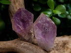 Polished Jacaranda Amethyst Quartz Crystals x 20 From Mumbwa, Zambia - Toprock Gemstones and Minerals 
