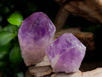 Polished Jacaranda Amethyst Quartz Crystals x 20 From Mumbwa, Zambia - Toprock Gemstones and Minerals 