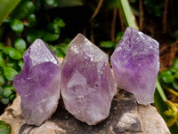 Polished Jacaranda Amethyst Quartz Crystals x 20 From Mumbwa, Zambia