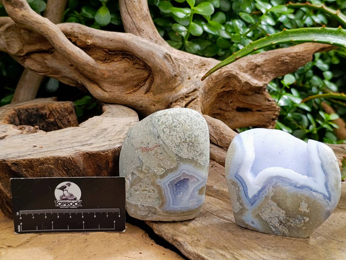 Polished Blue Lace Agate Standing Free Forms x 3 From Nsanje, Malawi - Toprock Gemstones and Minerals 