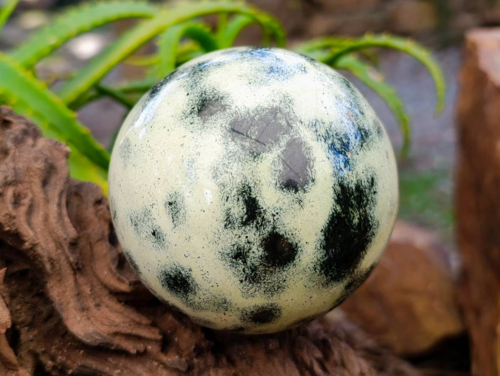Polished Leopard Stone Spheres x 2 From Zimbabwe - Toprock Gemstones and Minerals 