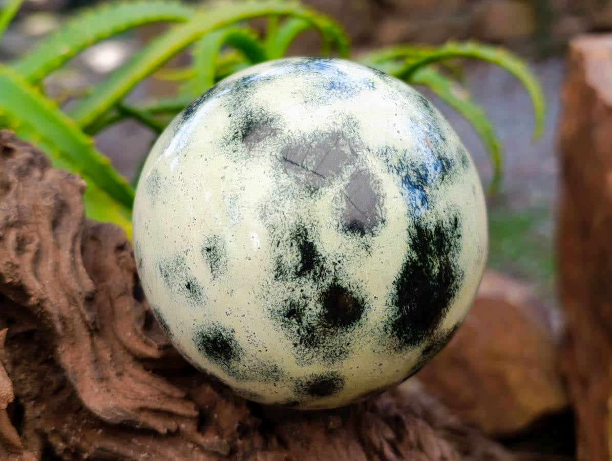 Polished Leopard Stone Spheres x 2 From Zimbabwe - Toprock Gemstones and Minerals 