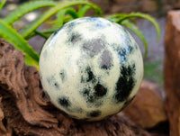 Polished Leopard Stone Spheres x 2 From Zimbabwe