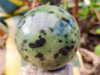 Polished Leopard Stone Spheres x 2 From Zimbabwe