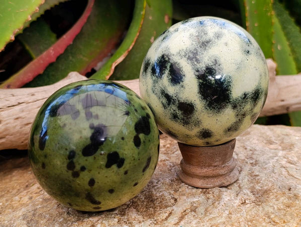 Polished Leopard Stone Spheres x 2 From Zimbabwe