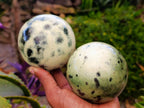 Polished Leopard Stone Spheres x 2 From Zimbabwe - Toprock Gemstones and Minerals 