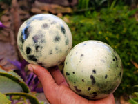 Polished Leopard Stone Spheres x 2 From Zimbabwe