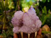 Natural Sunburst Amethyst Spirit Quartz Clusters x 6 From Boekenhouthoek, South Africa