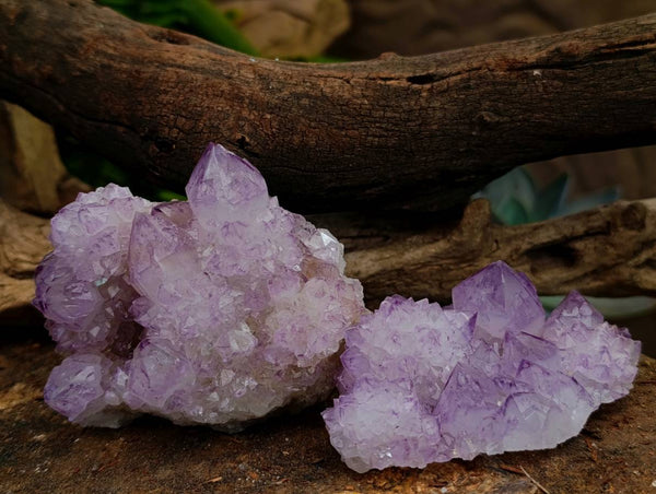 Natural Sunburst Amethyst Spirit Quartz Clusters x 6 From Boekenhouthoek, South Africa