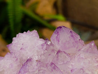 Natural Sunburst Amethyst Spirit Quartz Clusters x 6 From Boekenhouthoek, South Africa