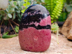 Polished Rhodonite Standing Free Forms x 2 From Ambindavato, Madagascar - Toprock Gemstones and Minerals 