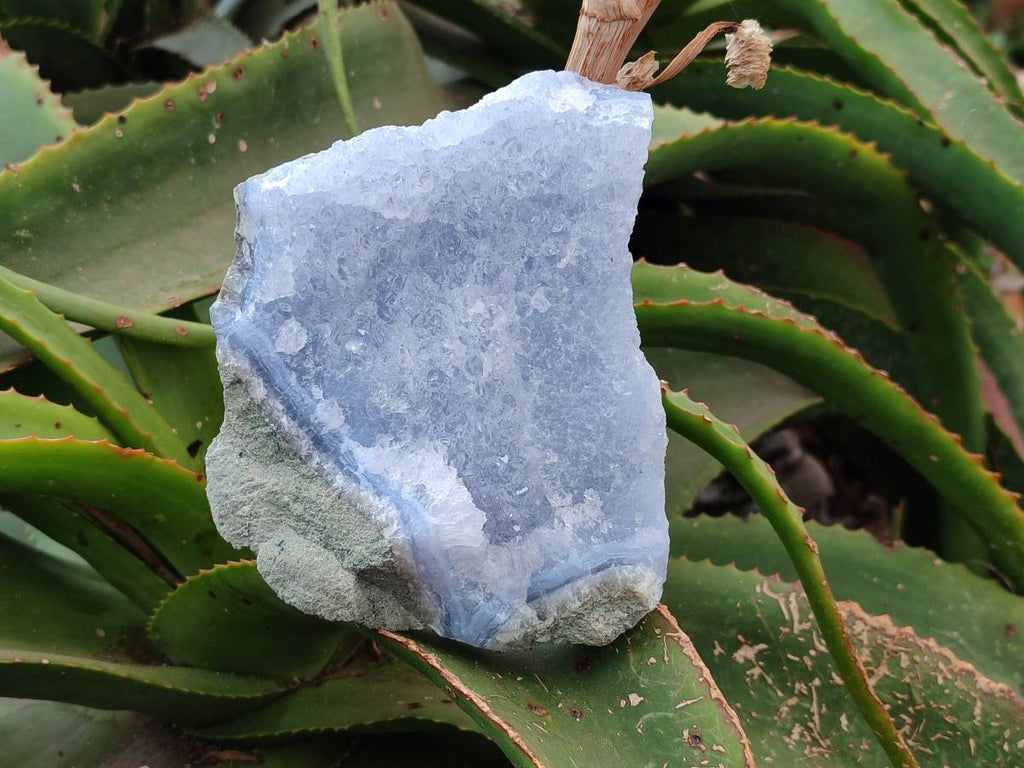 Natural Blue Lace Agate Geode Specimens x 6 From Nsanje, Malawi - Toprock Gemstones and Minerals 