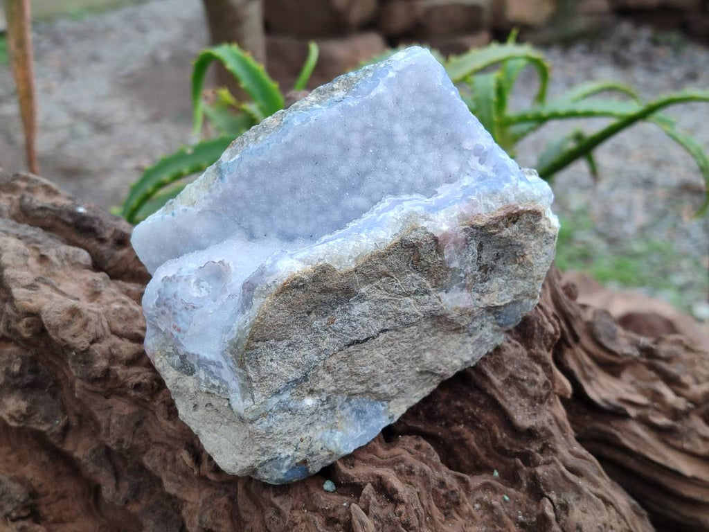 Natural Blue Lace Agate Geode Specimens x 6 From Nsanje, Malawi - Toprock Gemstones and Minerals 