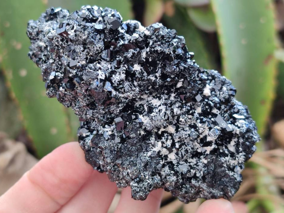 Natural Schorl Black Tourmaline With Associated Minerals x 6 From Erongo, Namibia - Toprock Gemstones and Minerals 