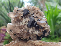 Natural Schorl Black Tourmaline With Associated Minerals x 6 From Erongo, Namibia